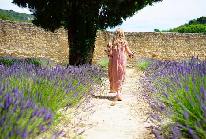 lavender